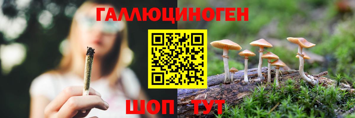 Ржев  Галлюциногенные грибы ЛСД  Вход с VPN  Псилоцибиновые грибы Magic Shrooms 
